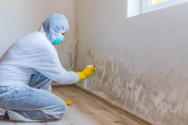 Mold Remediation specialist working in Frederick
